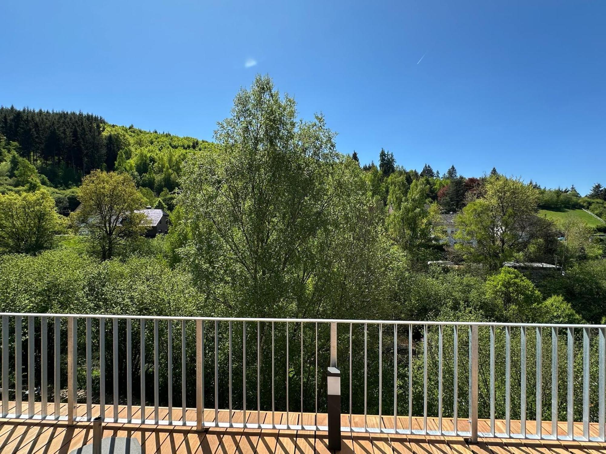Villa Holgenbach - Penthouse- Und Ferienwohnung Im Nationalpark Eifel Schleiden Exterior photo
