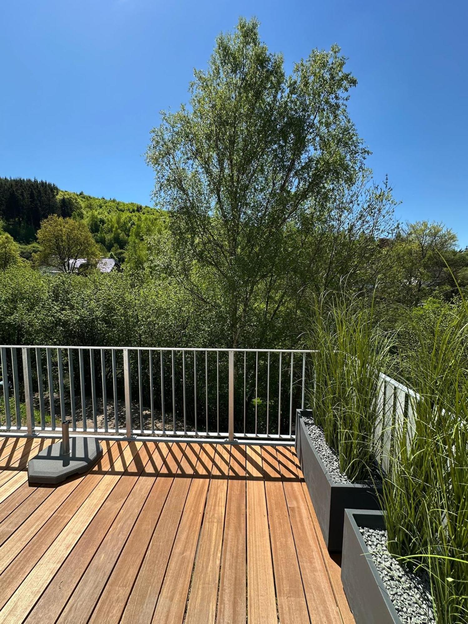 Villa Holgenbach - Penthouse- Und Ferienwohnung Im Nationalpark Eifel Schleiden Exterior photo